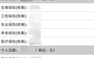 怎样查询个人社保缴费情况,个人社保缴费情况查询指南