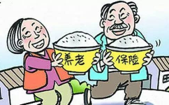 怎么缴纳城乡居民养老保险,轻松了解缴费流程